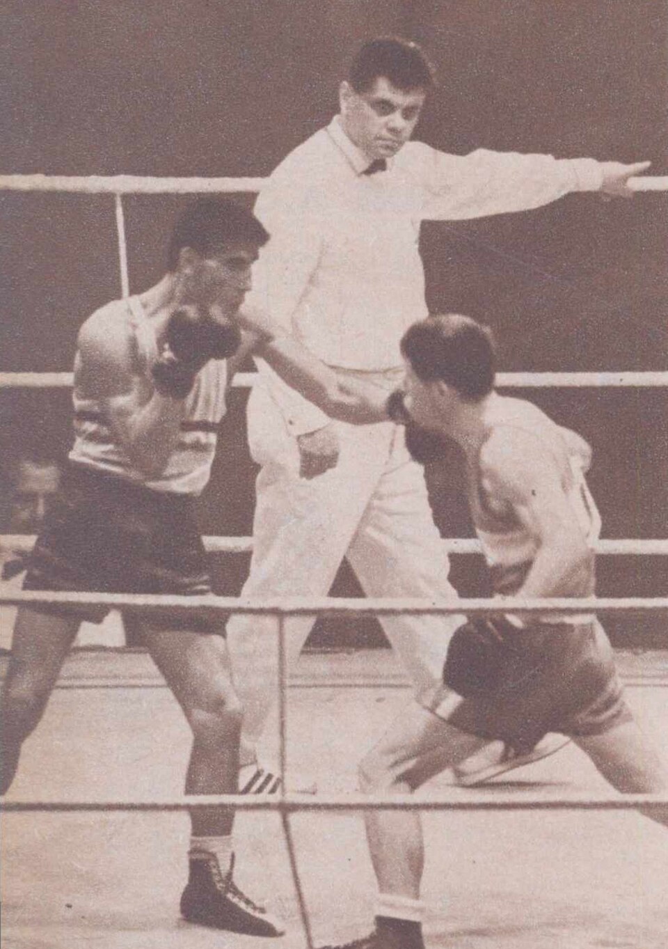 Antoniu Vasile