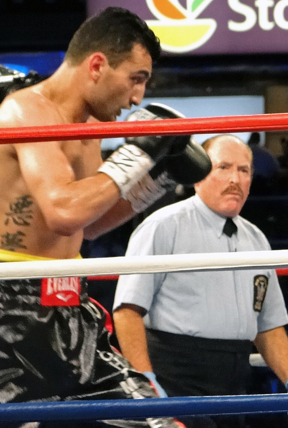 Vanes Martirosyan